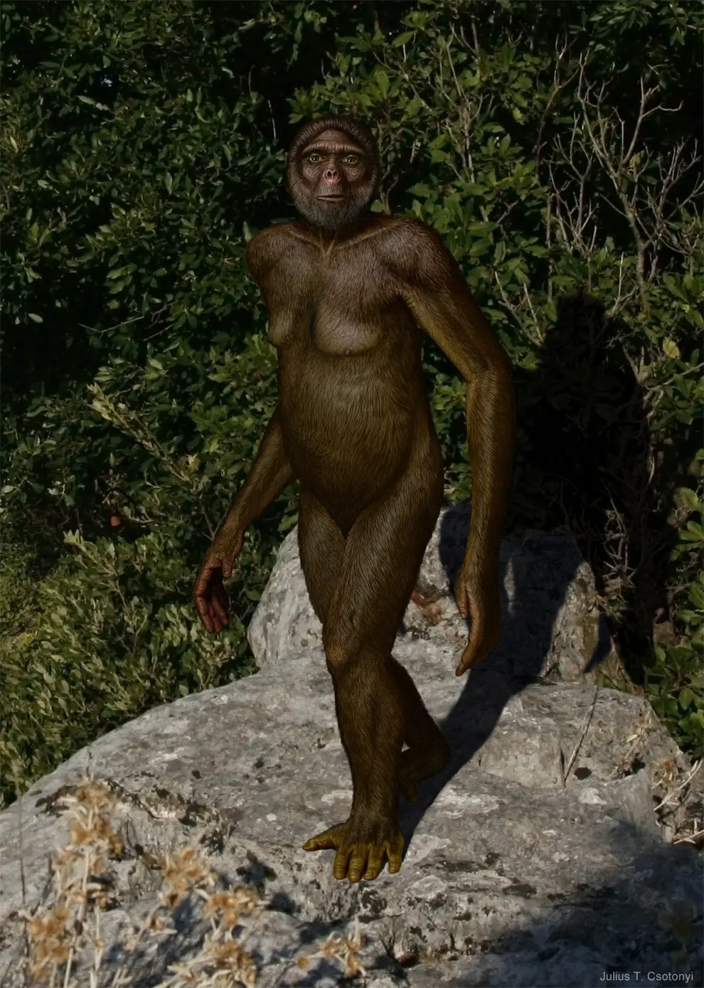 Viajar al pasado? 12 criaturas que te quitarán las ganas!