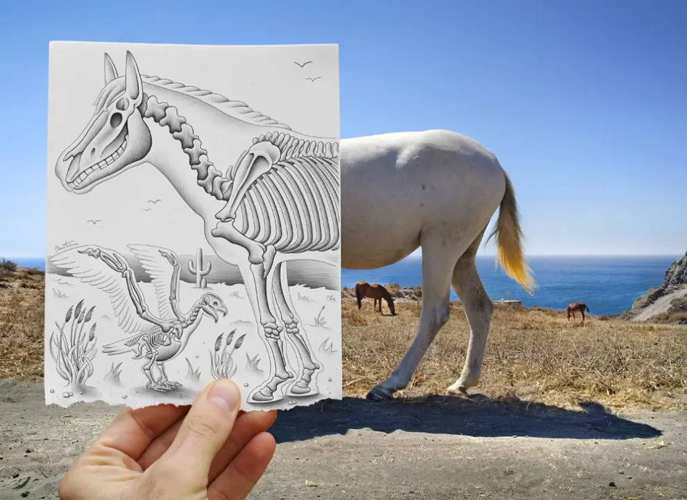 Dibujo