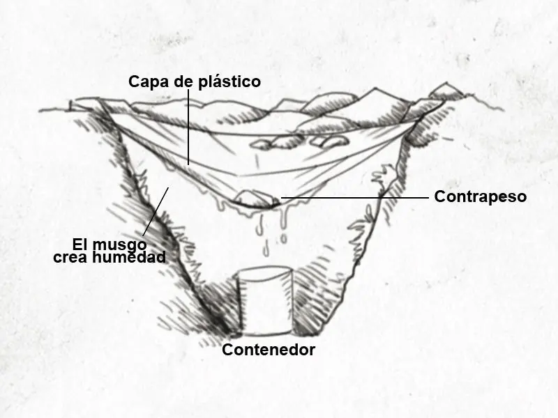 Cómo sobrevivir en una isla desierta