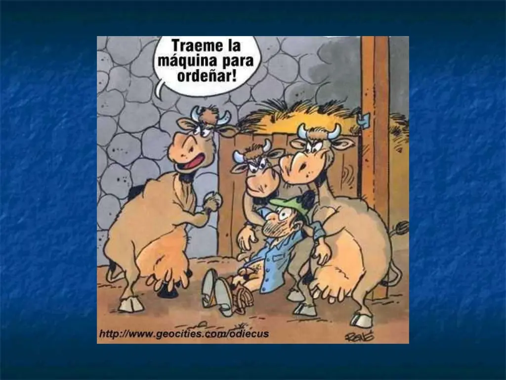 humor