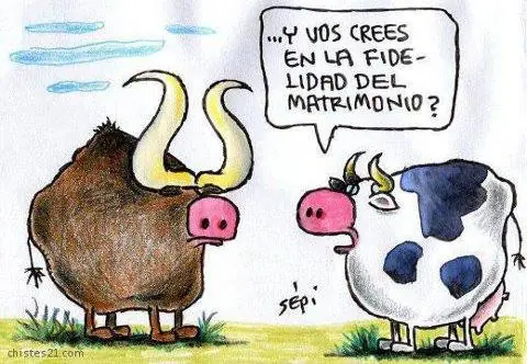 entendió.