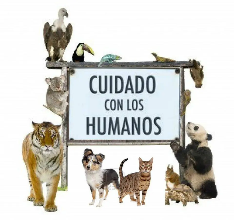 El que lo Entendio lo Entendio,Humor del Bueno.