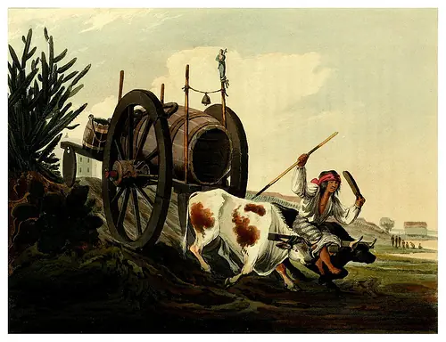 Láminas del Buenos Aires de 1820