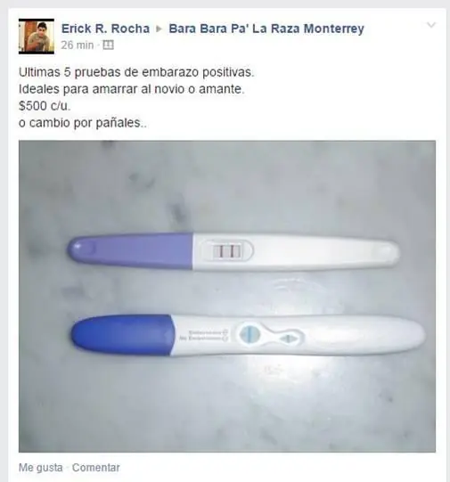 Estos enamorados son unos cerdos | Pasá y reíte Estos enamorados son unos cerdos | Pasá y reíte