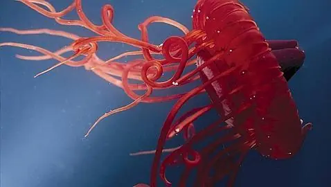 mar