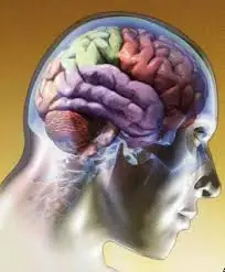 neurologia