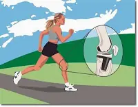 grenetina, beneficios para la salud, huesos, cartilagos, etc