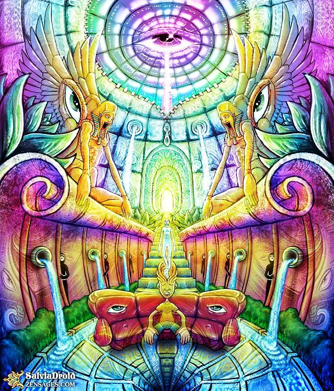 dmt