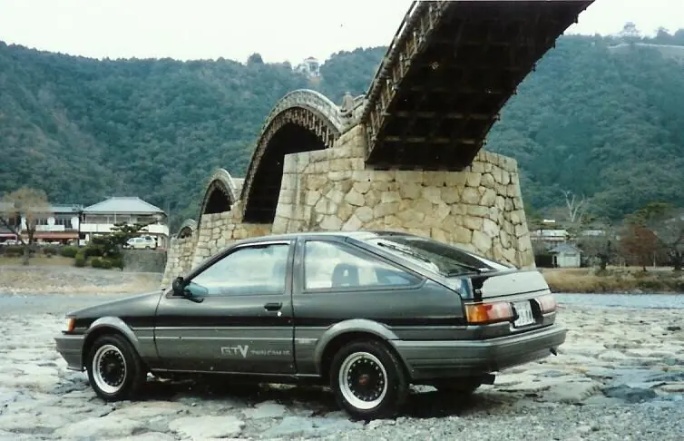 levin