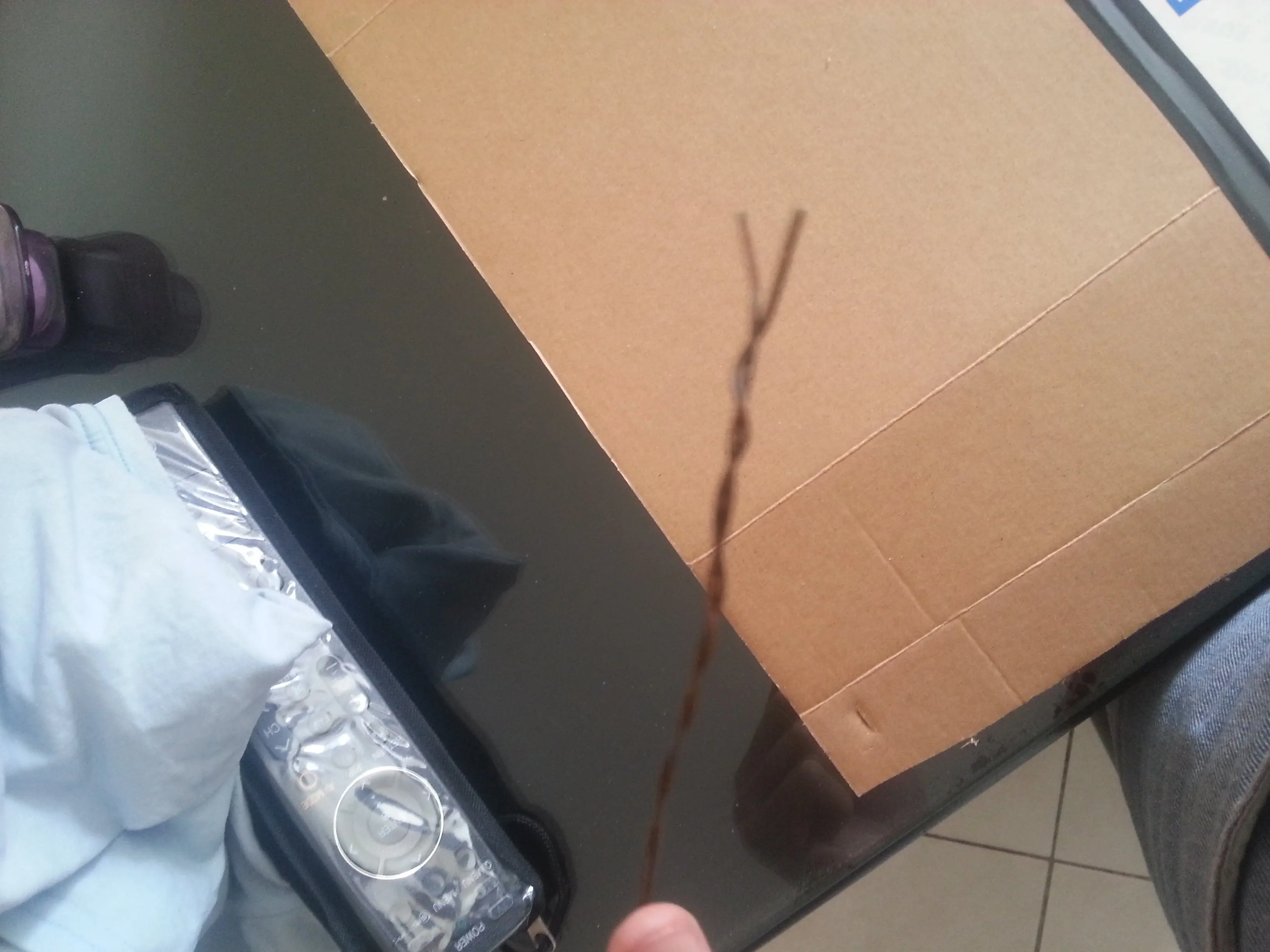Hacele una carpa a tu gato con $0 - ULTRA RAT POST