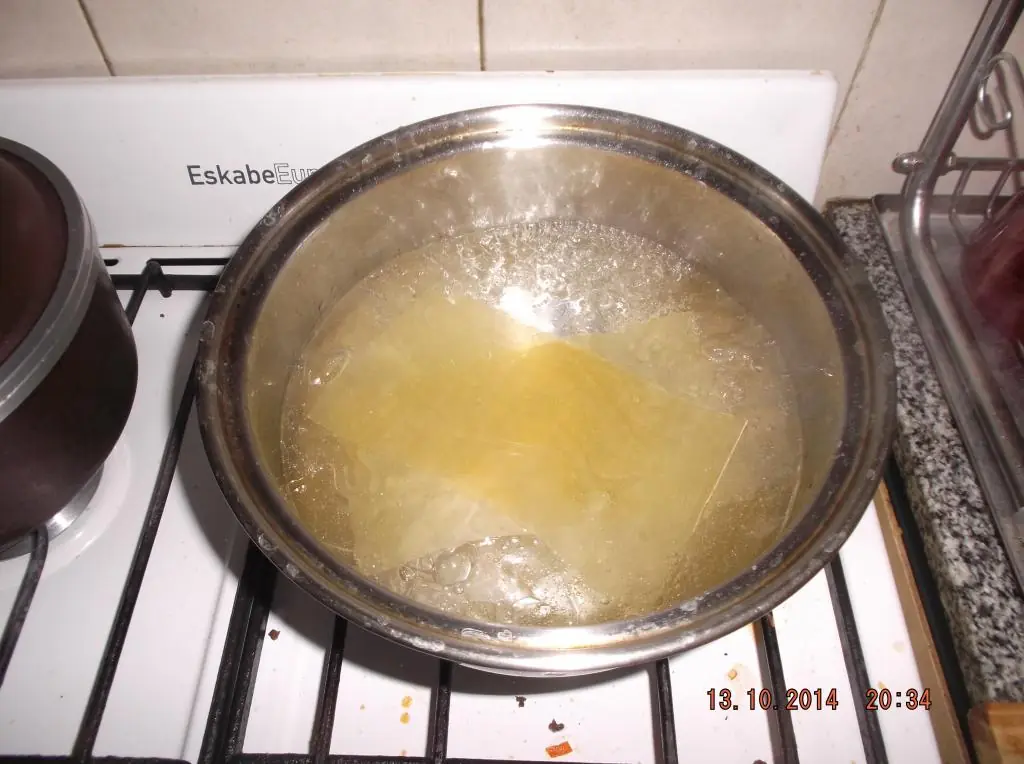 Lince, deleitate con esta Lasagna!