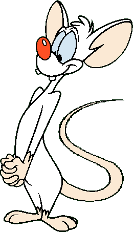 raton