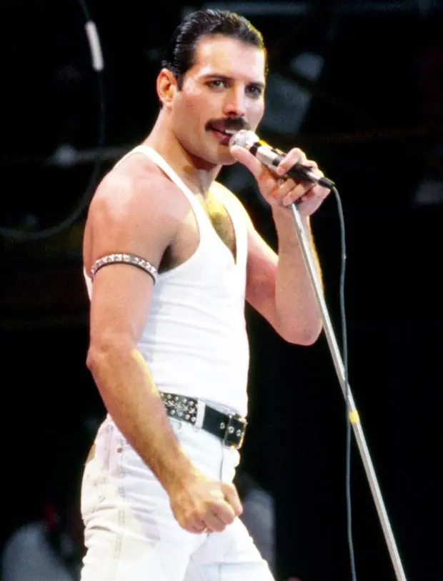 ¿Lince cual es el mejor Cantante de la Historia del Rock?