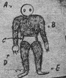 1954