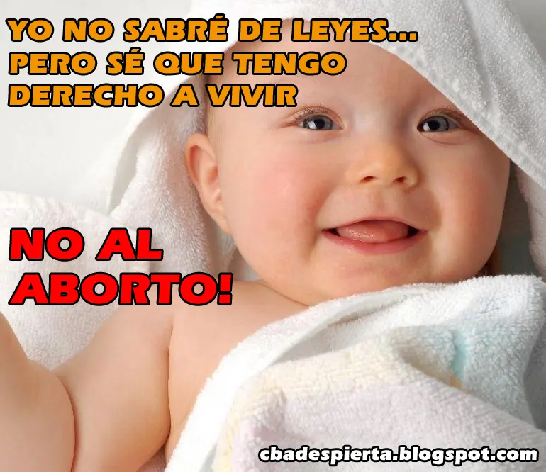 Camisetas contra el derecho a vivir de niños y niñas en ge