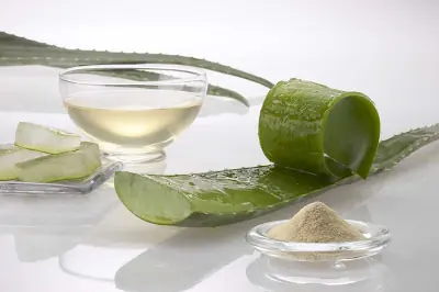 Utilización del Aloe Vera