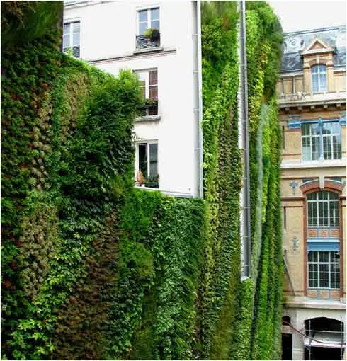 naturaleza sorprendente