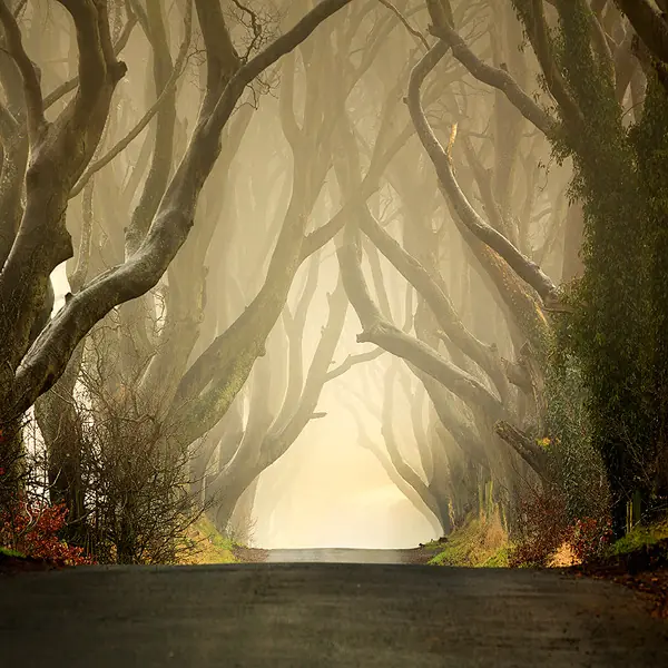 naturaleza