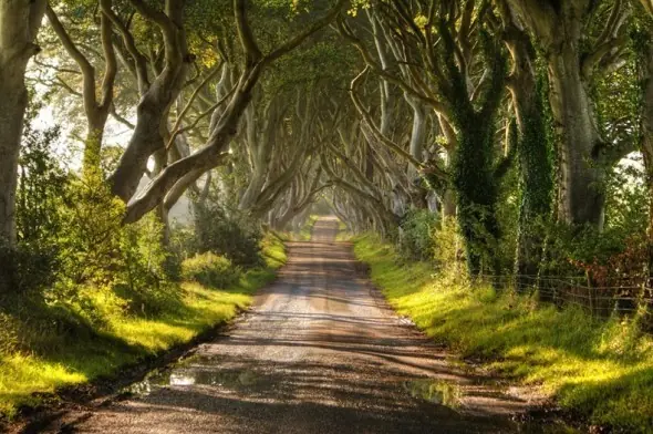 5 Maravillas "Casi Naturales"