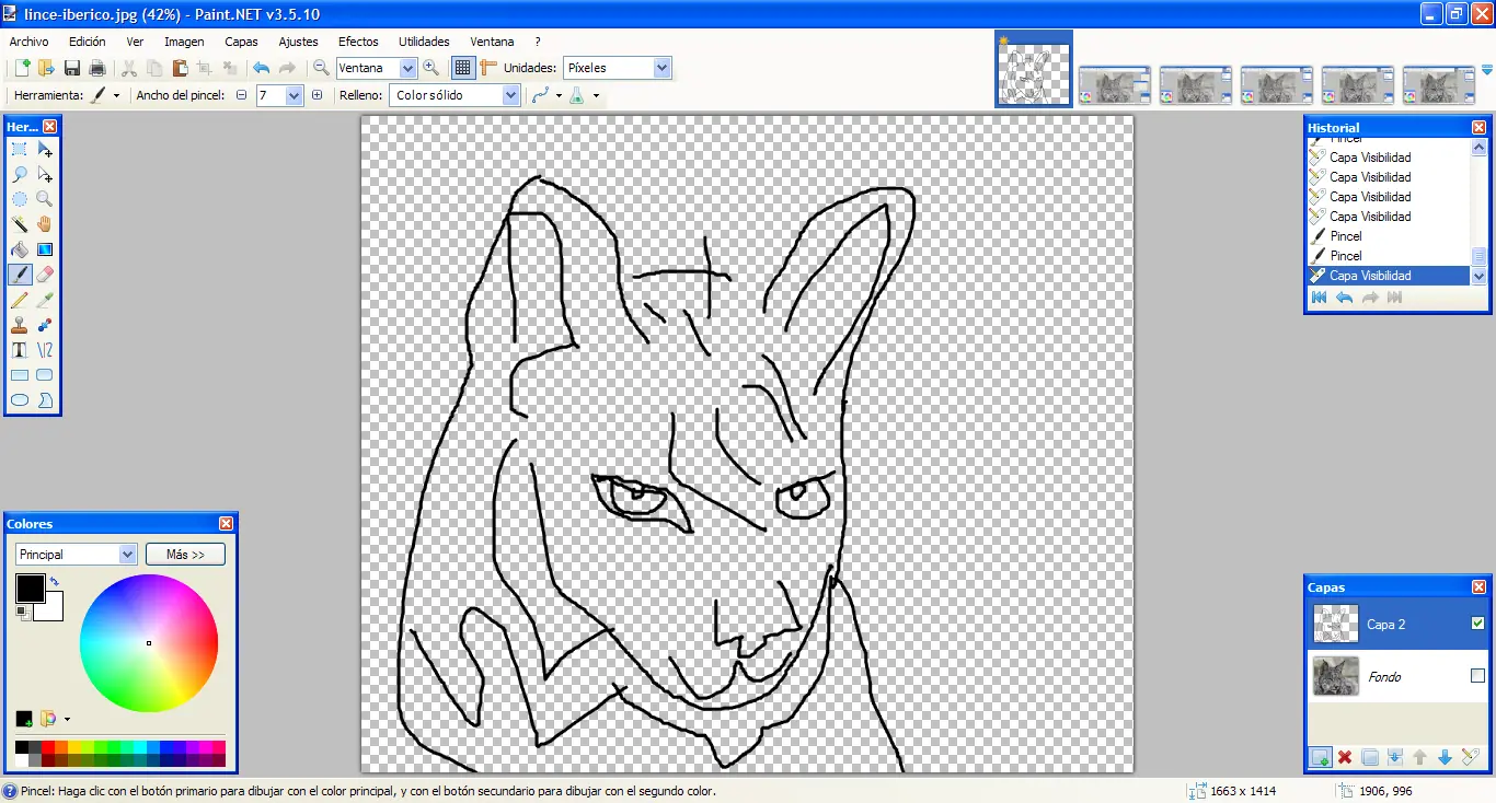 lince