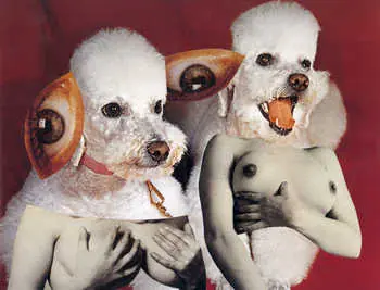 5 artistas poco conocidos, para la coleccion