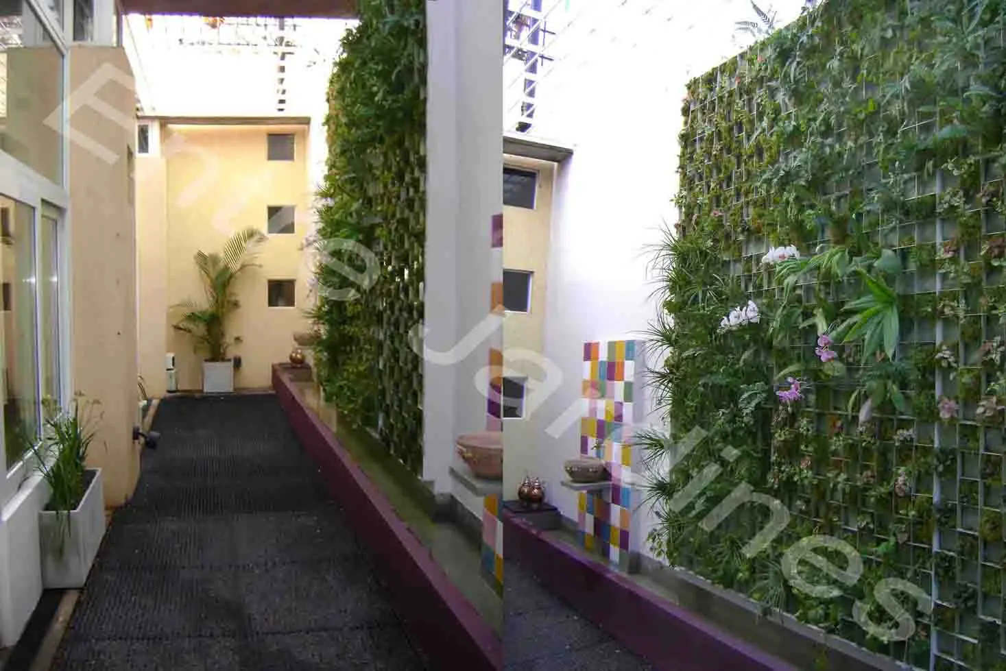 Jardines verticales, tapices “verdes” en la ciudad