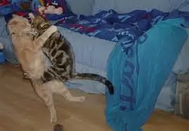 Nos estan dividiendo?