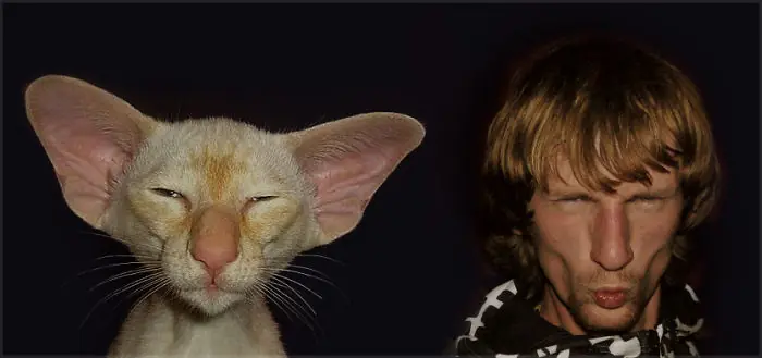 42 hilarantes parecidos razonables que te sacarán una sonris