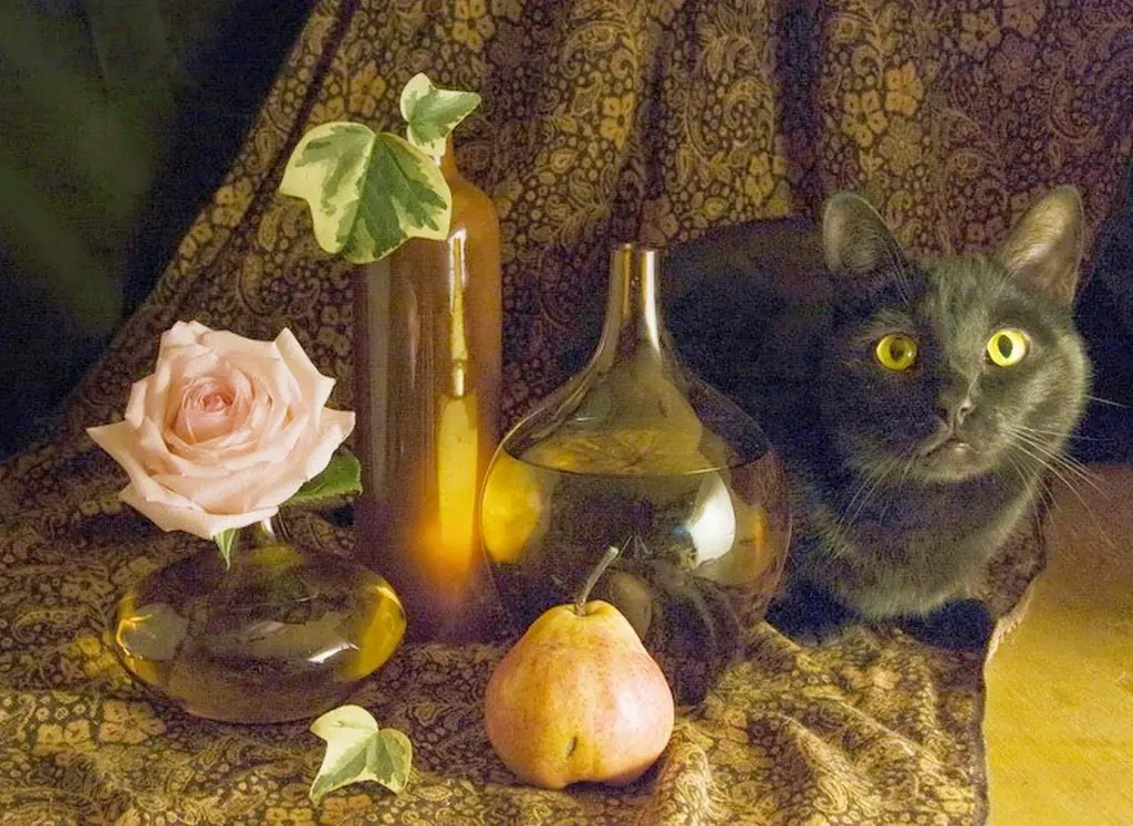 pinturas al oleo