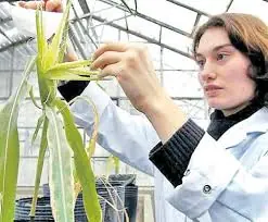 La Crisis Alimentaria, Nuestra culpa.