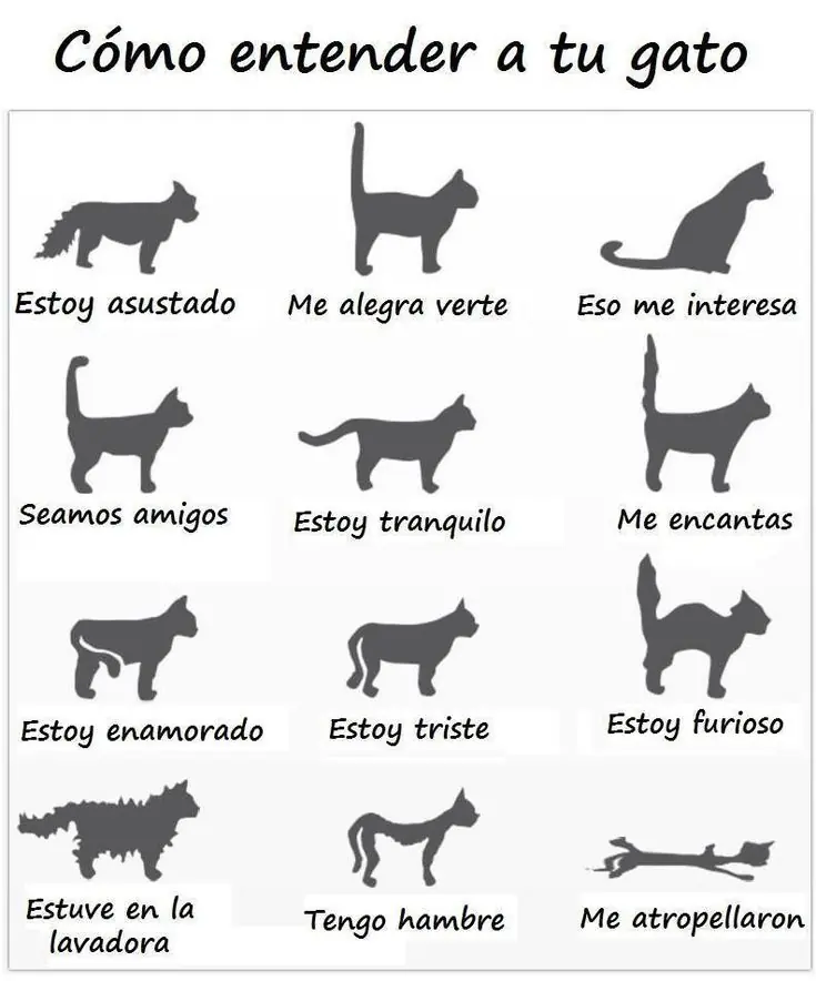 imagenes