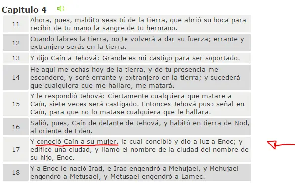 traduccion