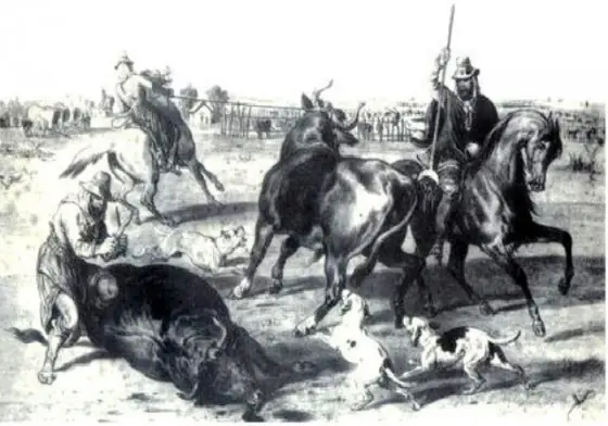 La Banda Charrúa, no la Banda Oriental