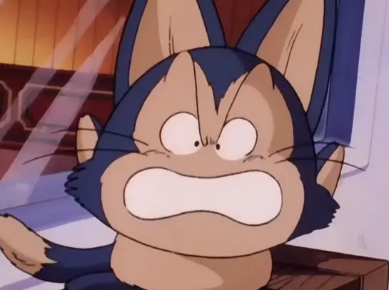 Puar, Nunca voy a olvidarte, sin vos no es lo mismo