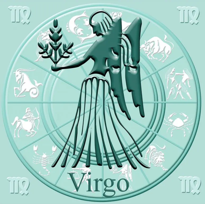 Sos virgo? te dejo los mejores consejos lince
