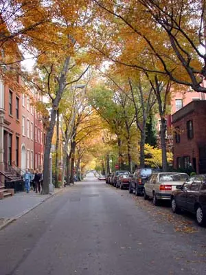Central Park