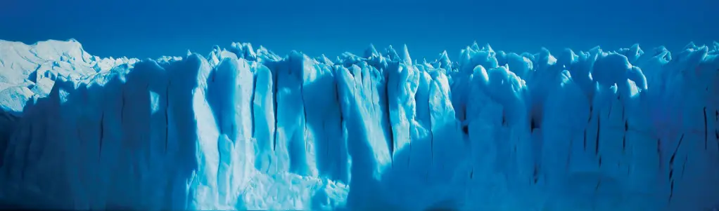 argentino