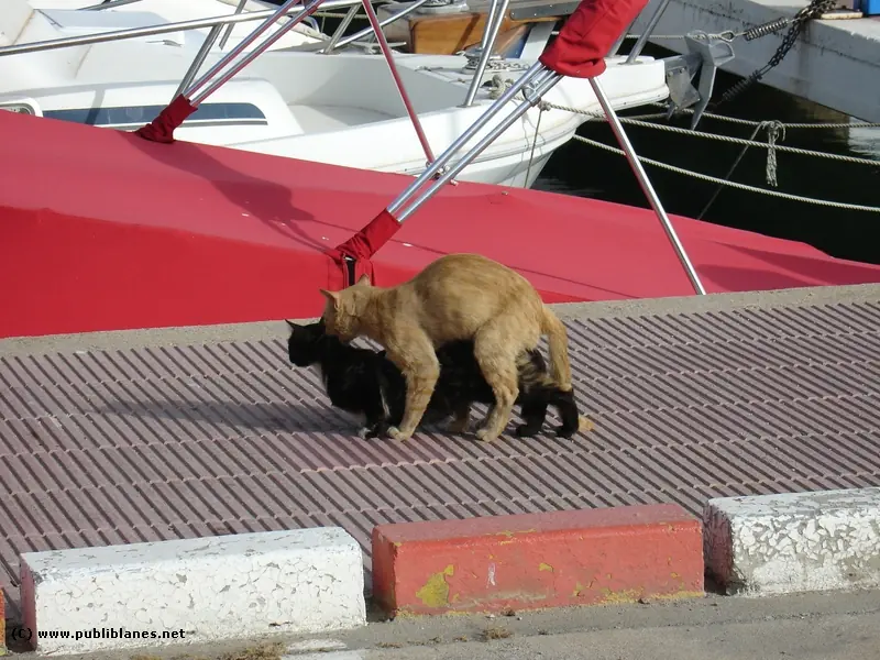 violencia, sexo, videojuegos y los medios