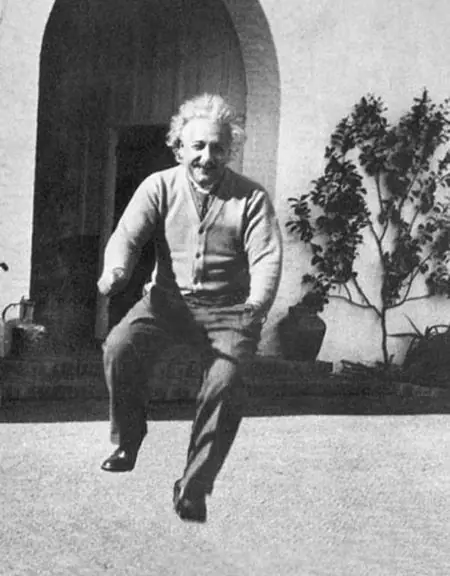 Los Gatos Tienen Poderes Invisibles!