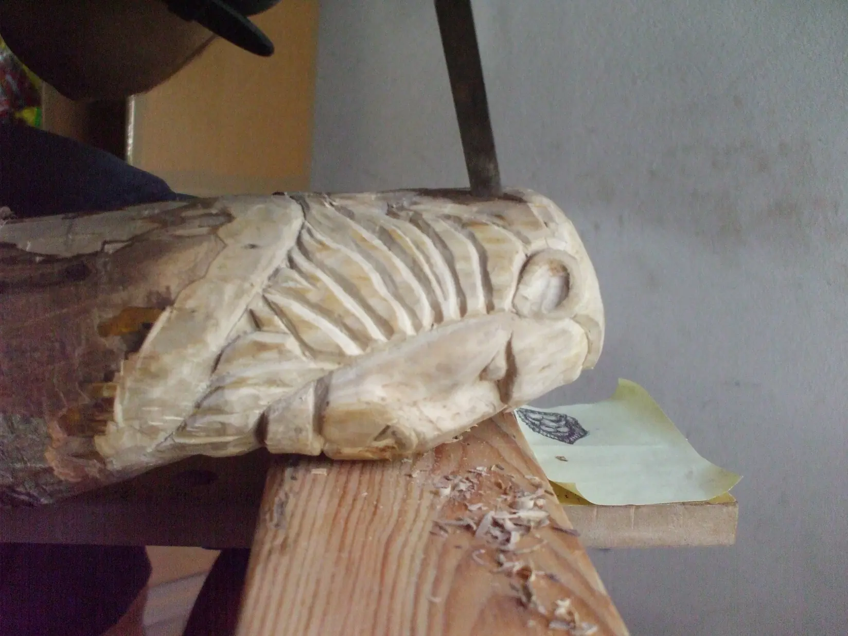 Tallado en Madera: Cabeza de Leon CERTIFICADO