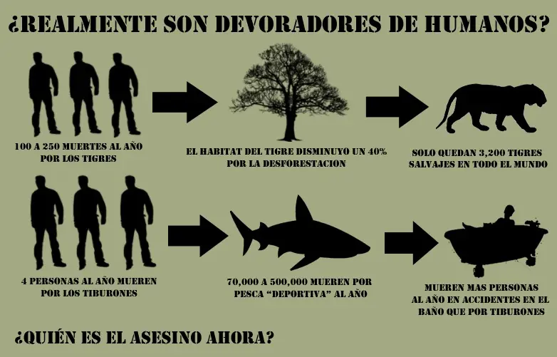 conciencia