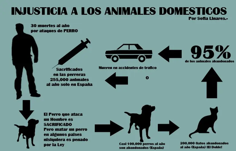 Los Animales son asesinos aqui el porque