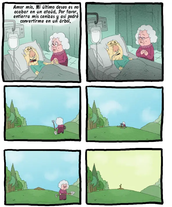 Grafico