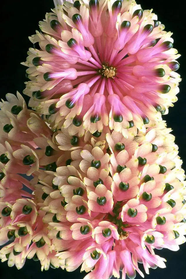 naturaleza