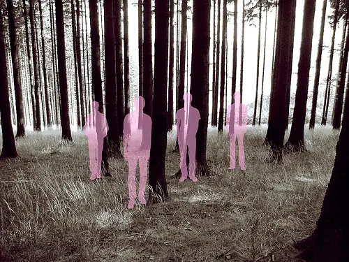 Constants