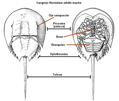 prehistoria prehistoria