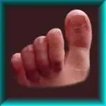 Descubre tu personalidad en tus pies
