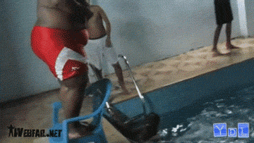 Party Hard con imagenes,gifs y musica!!!