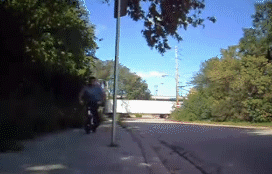 Gifs