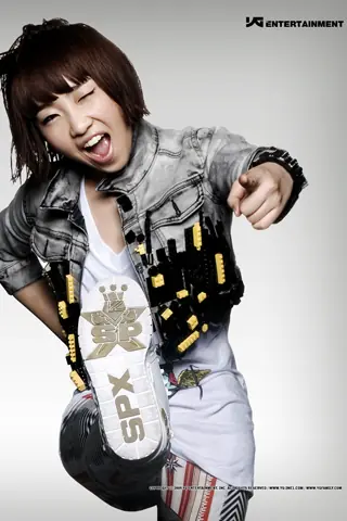 Curiosidades de 2ne1